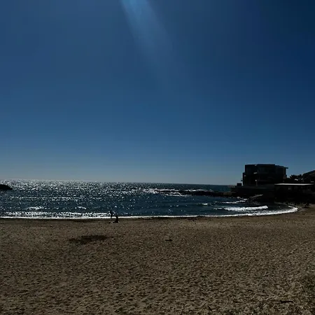 T2 A Proximite Immediate De La Et Des Commerces Du Cap D'agde *